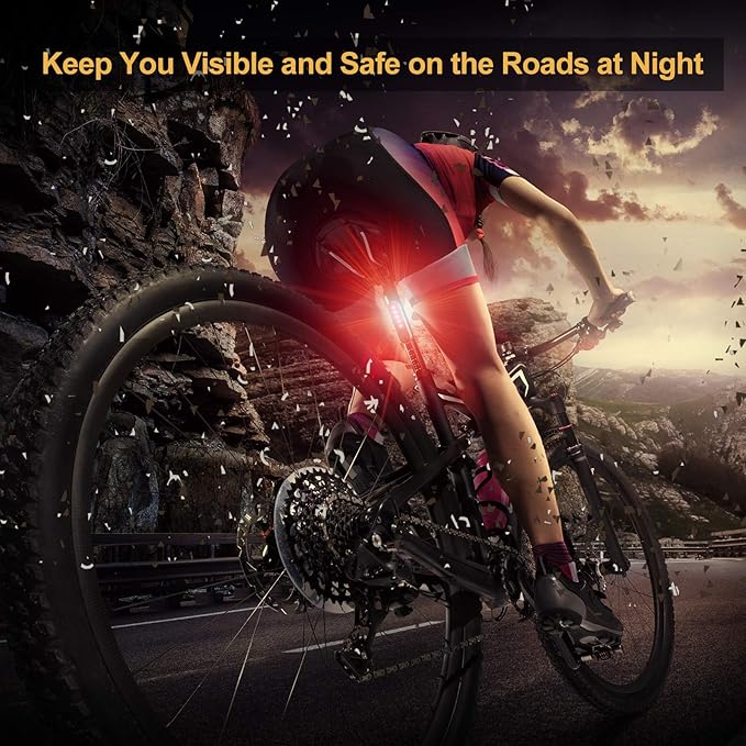 USB Rechargeable LED Bike Tail Lights 2 Pack, Bright Bicycle Cycling Rear Light, 4 Light Mode Options Safety Bike Light for Adults Kids Men Women Road Mountain(2 USB Cables Included)